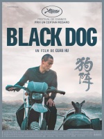 Black Dog